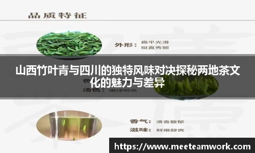 山西竹叶青与四川的独特风味对决探秘两地茶文化的魅力与差异